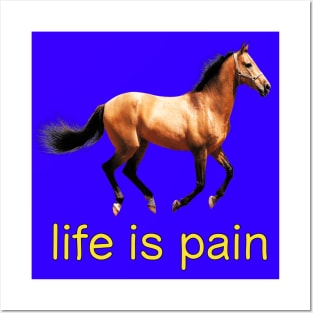 Life is Pain (horse) Posters and Art